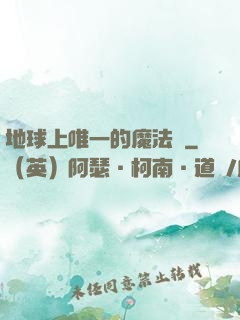 地球上唯一的魔法師